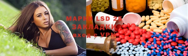 PSILOCYBIN Лагань